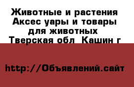 Животные и растения Аксесcуары и товары для животных. Тверская обл.,Кашин г.